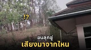 สุสานคน