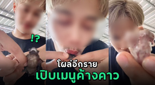 กินแปลก