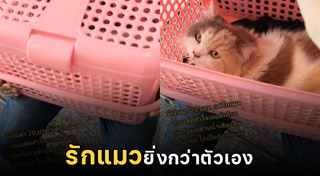 สัตวแพทย์