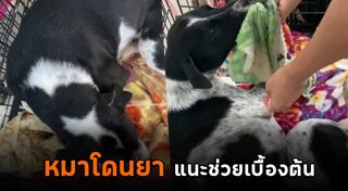 ความรู้รอบตัว