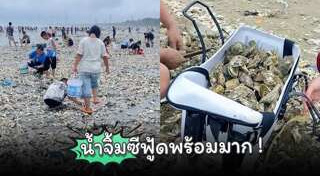 พายุไต้ฝุ่น