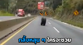 รถล้อหลุด