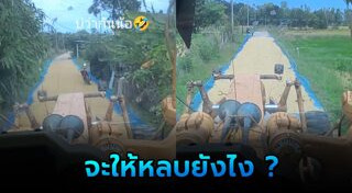 ตากข้าว