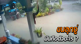 น้ำท่วมภาคใต้