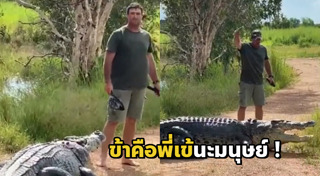 สัตว์ครึ่งบกครึ่งน้ำ