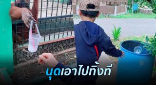 อุรังอุตัง