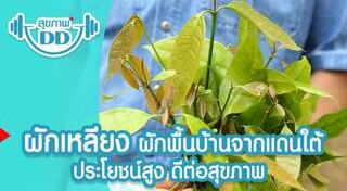 ผัดไข่