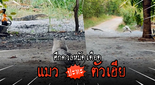 ตัวเงินตัวทอง