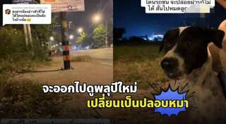 พลุ
