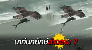 นกหายาก