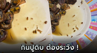 กินอาหารสุกๆดิบๆ