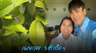 แม่แก้ว ณเดชน์