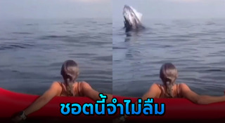 สัตว์น้ำ