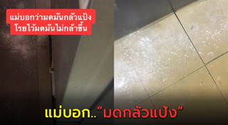 วิธีกำจัดมด