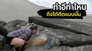 เต่าตนุ