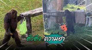 สัตว์น่ารักๆ