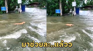 น้ำท่วมอุบลราชธานี