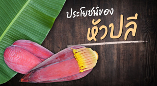 อาหารแคลอรีต่ำ