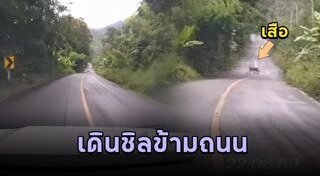 อุทยานแห่งชาติแม่วงก์