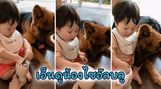 น้องไซอัลบลู