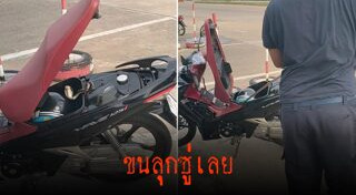 สัตว์มีพิษ