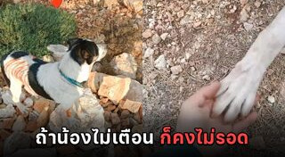 อิสราเอล ปาเลสไตน์