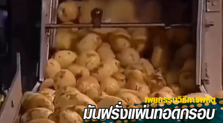 มันฝรั่งทอด