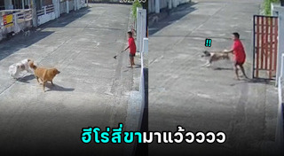 สัตว์ทำร้ายคน