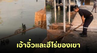 ช่วยแมว