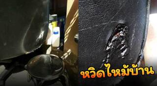 วิทยาศาสตร์