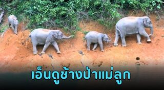 สัตว์ป่าสงวน