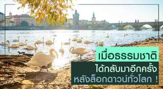 ธรรมชาติ