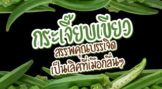 กระเจี๊ยบเขียว