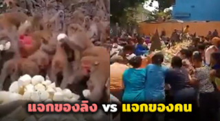 มนุษย์กับสัตว์