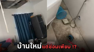 บ้านเดี่ยว