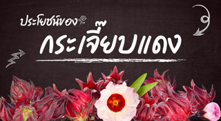 กระเจี๊ยบ