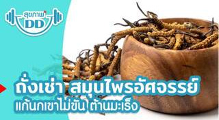 สมุนไพรปลุกอารมณ์ทางเพศ