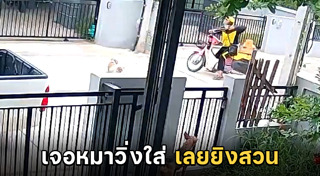 ทำร้ายสุนัข