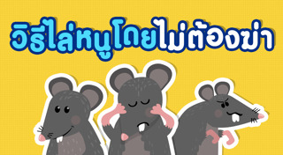 วิธีไล่หนู