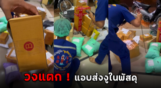 กู้ภัยจับงู