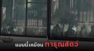 ทารุณสัตว์