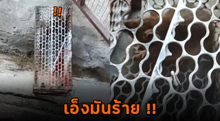 กับดักหนู