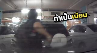 พฤติกรรมมนุษย์