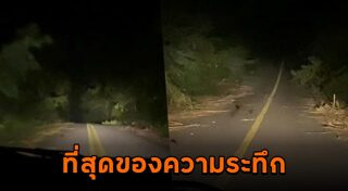 เดินทาง