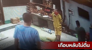 งูสามเหลี่ยม