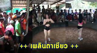 โคโยตี้