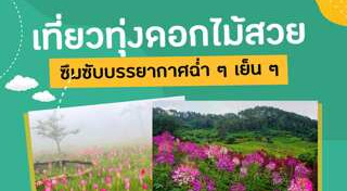 ทุ่งดอกไม้