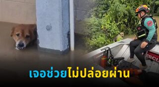 เรื่องราวดี ๆ