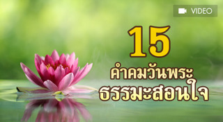 คำคมคนโสด