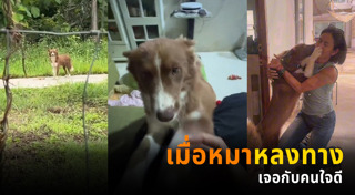 ช่วยเหลือสัตว์